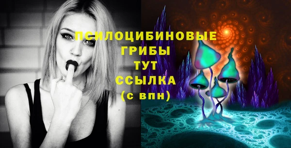 ALPHA PVP Новодвинск