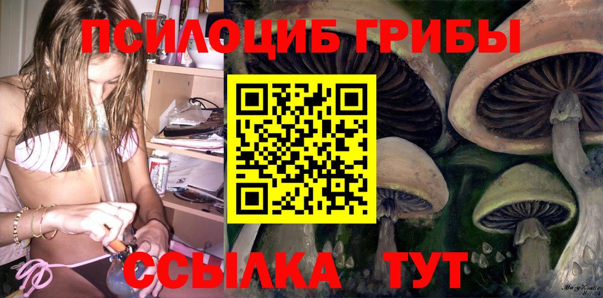 Псилоцибиновые грибы Psilocybe Старая Купавна