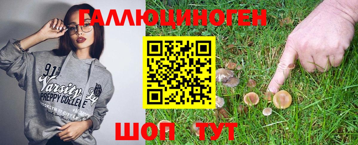 Галлюциногенные грибы Cubensis  Псилоцибиновые грибы Magic Shrooms  Старая Купавна  Вход с VPN 